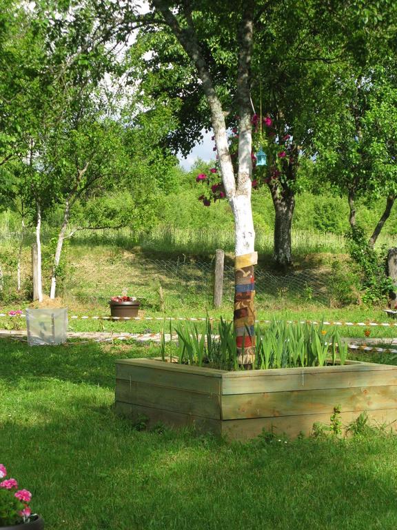 Apartments Eco Forest Resort غاكوفيتسا المظهر الخارجي الصورة