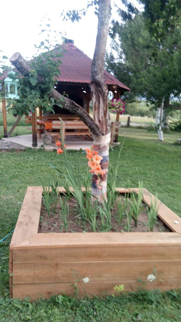 Apartments Eco Forest Resort غاكوفيتسا المظهر الخارجي الصورة